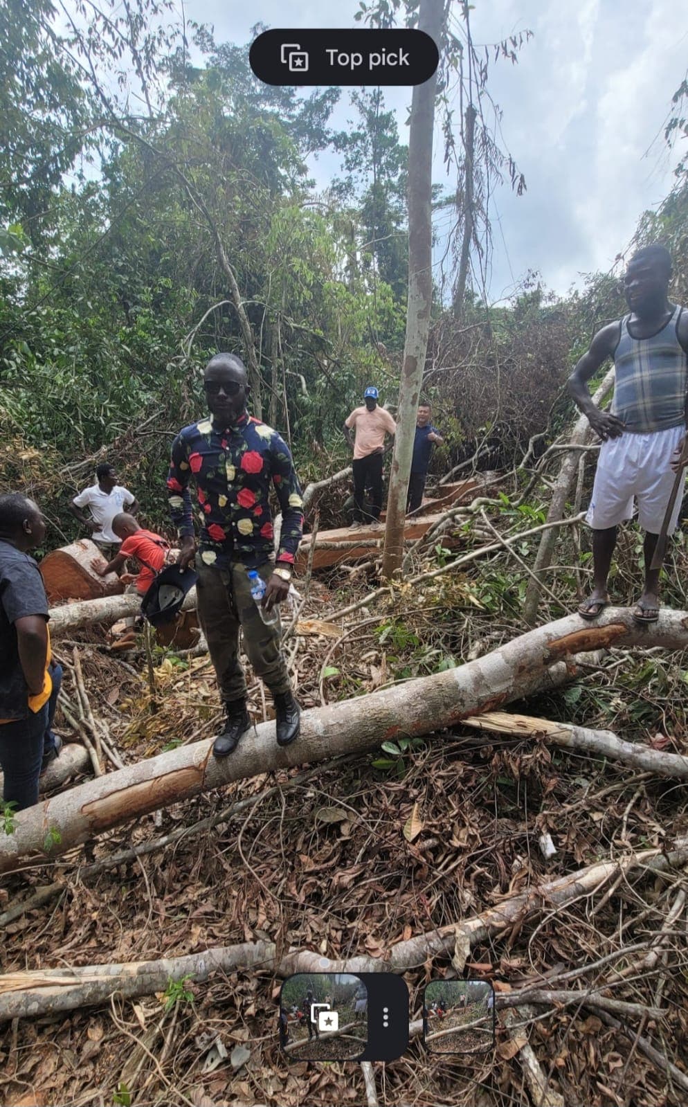 A group visiting the forest work site