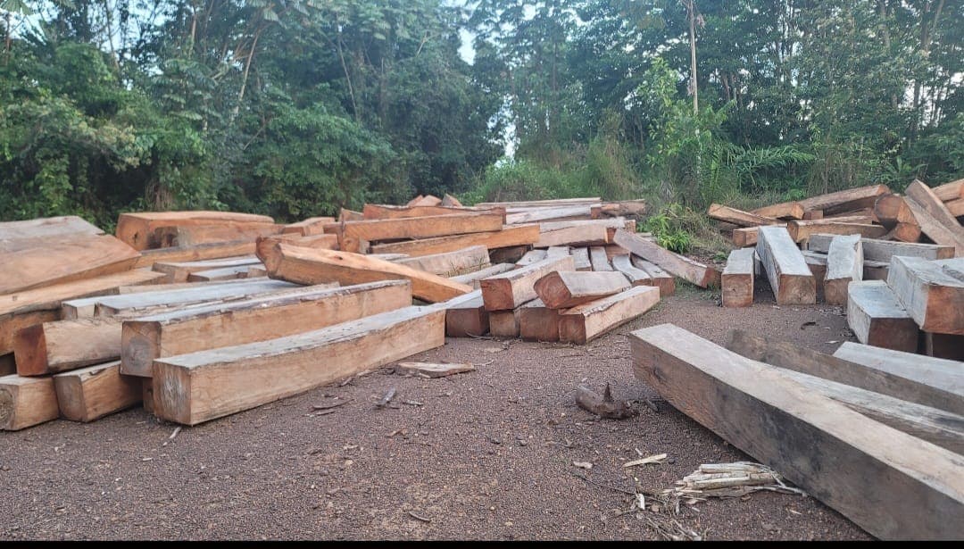 Rows of timber beams at the yard